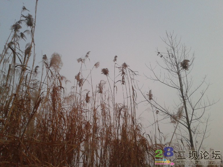 2012-01-25 17.50.46.jpg