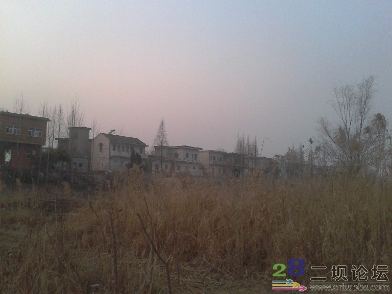 2012-01-25 17.48.51.jpg