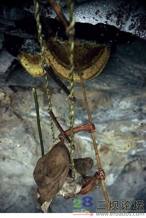 ϲ�����ž����ϵĲ�����