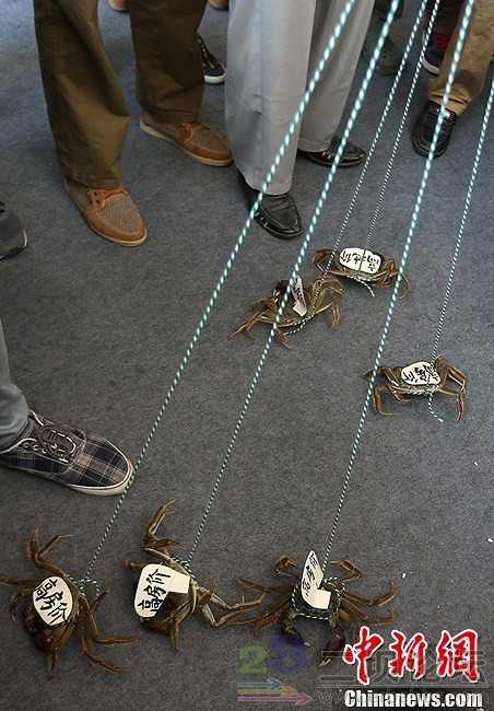 �Ͼ��ٰ췿չ�� �������з��