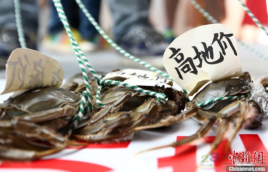 �Ͼ��ٰ췿չ�� �������з��