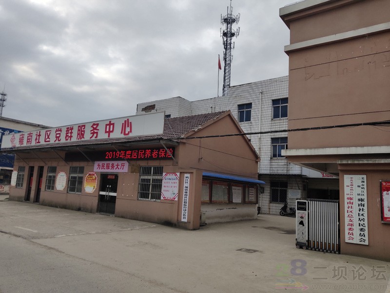 ������Ӻ�������ſ�