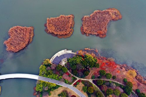 ������̬ʪ�ع�԰