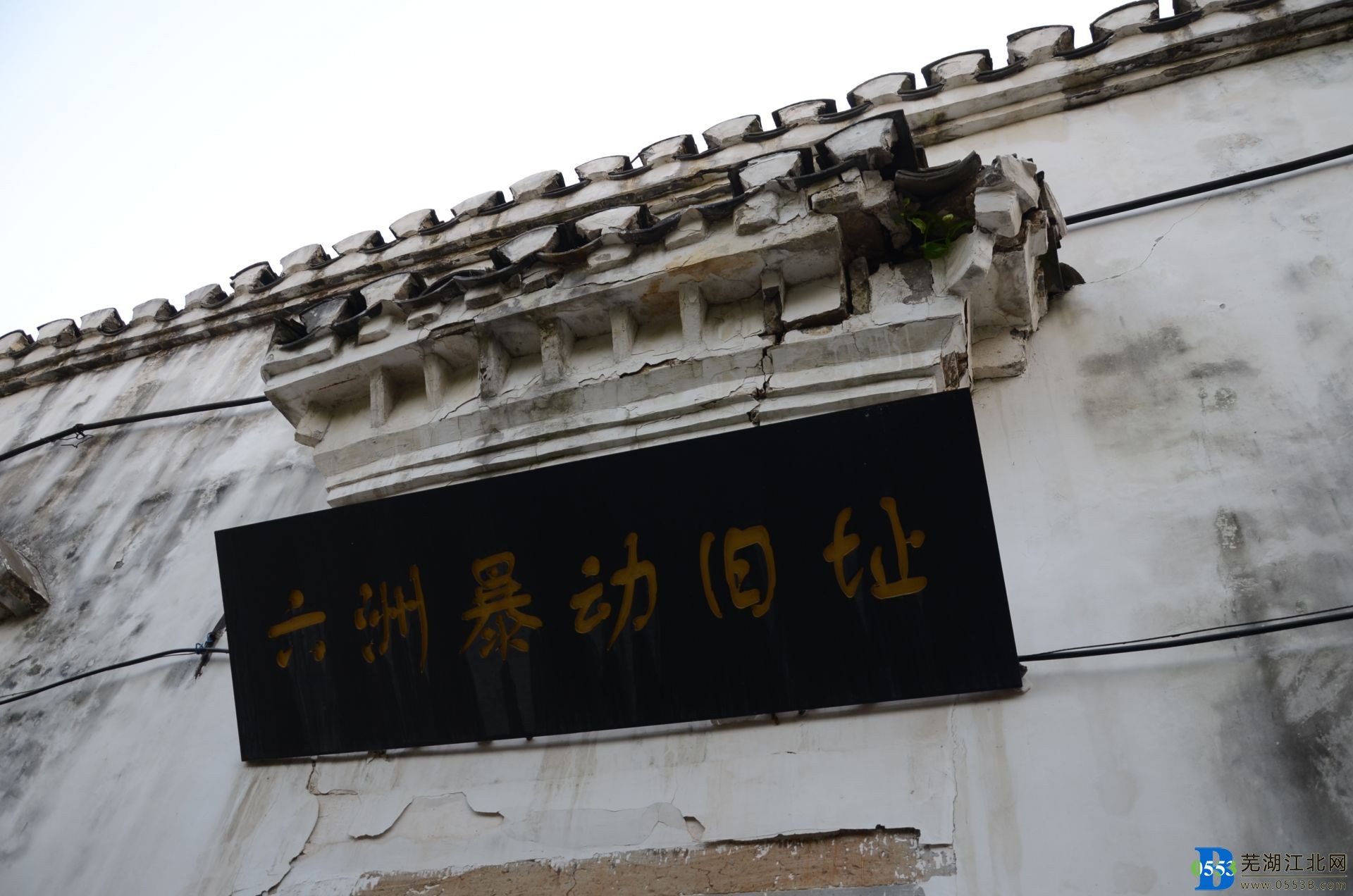 �������޺����� �����������