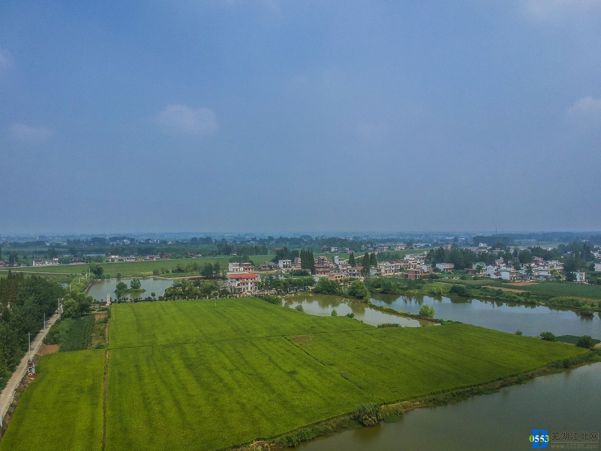 �������޺����� �����������