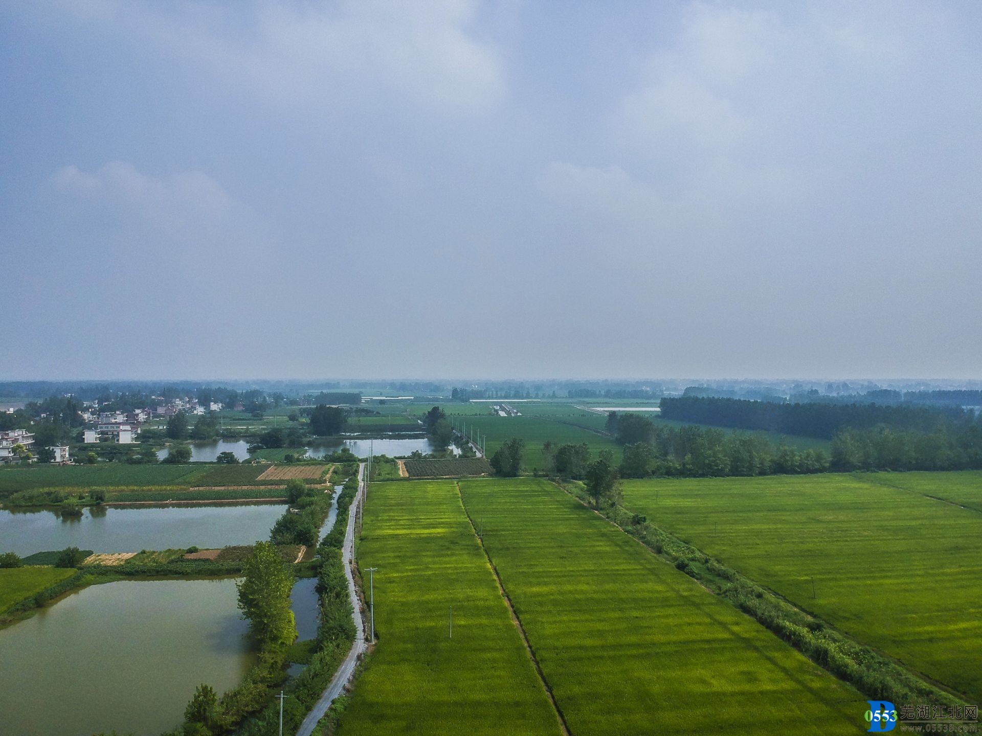 �������޺����� �����������